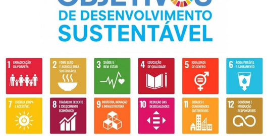 Embalagens, biopolímeros, Agenda 2030 e os Objetivos do Desenvolvimento Sustentável