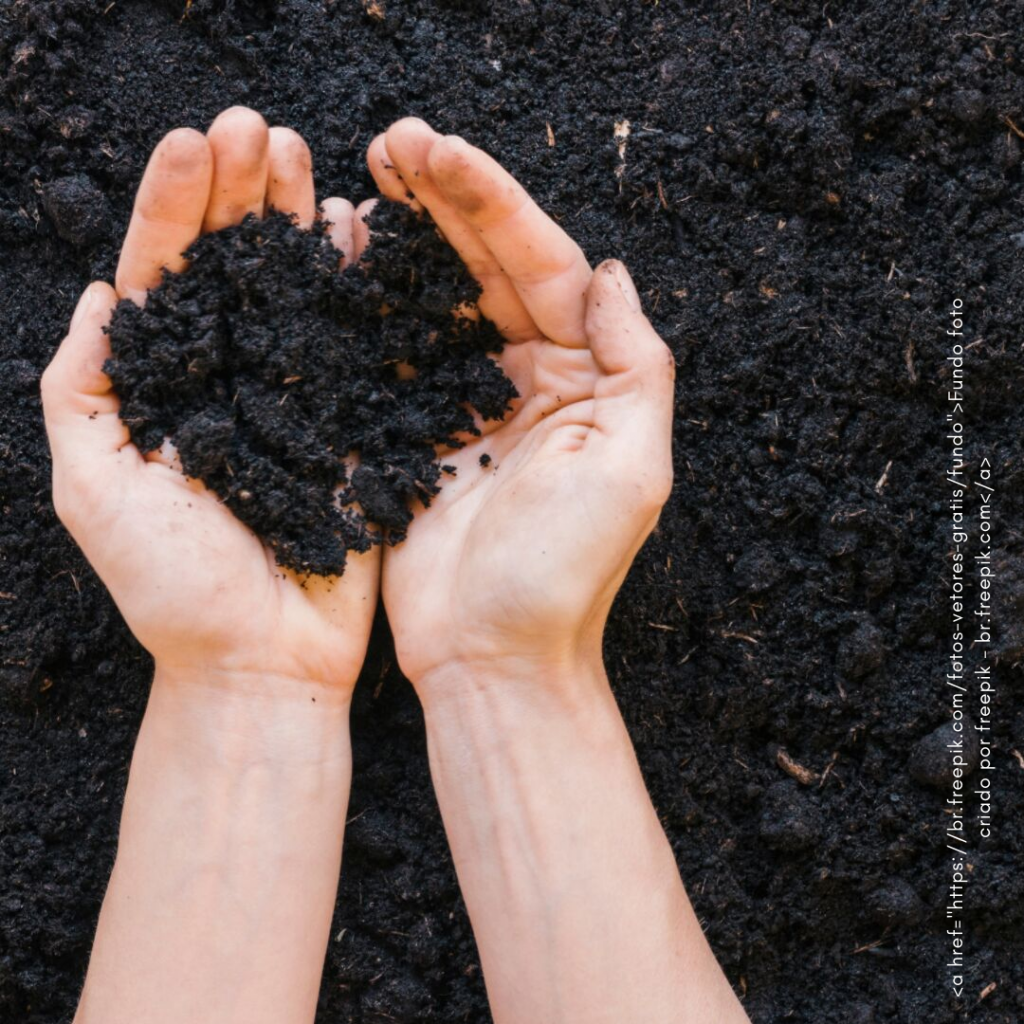 Compostagem e seus benefícios